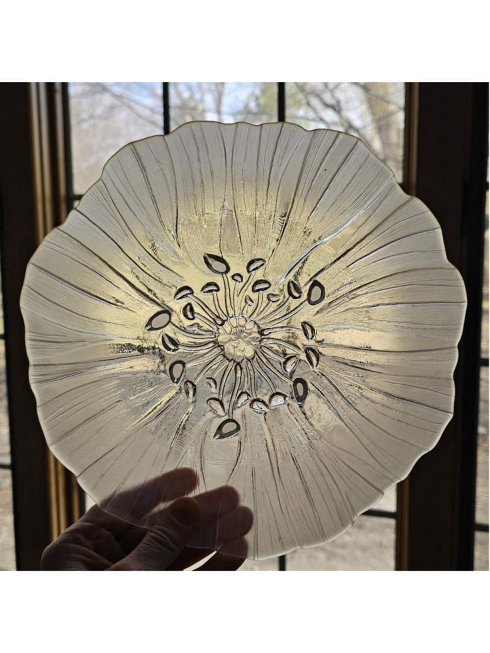 Mats Jonasson Målerås SWEDEN Botanical Anemone "Windflower" Crystal Dinner Plate - Picture 3 of 7